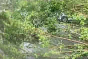 快訊/北科大近20公尺路樹倒塌「畫面直擊」！1學生被壓傷、汽車也被波及