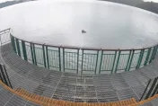 孤單一隻蛙！鋒面雨全降集水區「九蛙疊像」剩牠了　獨漂水面畫面曝