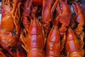 市售「11項食品須標示過敏原」曝 ！ 不合格前3名 NO.1 「海鮮」