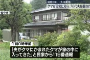 影/群馬山區野熊闖入民宅　70多歲屋主夫婦遭攻擊重傷送醫