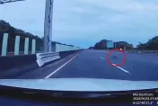影/國3斗六段「猴子」出沒！快速橫越車道　驚險瞬間曝