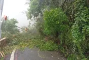 快訊/南橫梅山口路段邊坡坍方！「雙向道路阻斷」 禁止通行