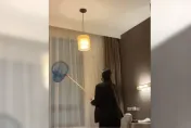 住三星級飯店驚見天牛般大蟑螂！奧客凹「全額退款」　　網傻眼：從無塵室出來？