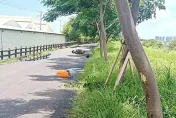 快訊/驚傳奪命車禍！高雄男自摔撞樹躺草叢　送醫「頭爆血」不治