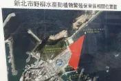 影/野柳驚傳漁民「非法電魚」　海巡進、出港發動檢查模式