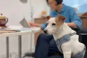 卸任總統滿月蔡英文曬萌犬親子裝　網友驚呼：燙頭髮剪短了