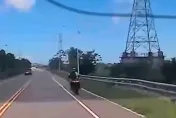快訊/「飛」來橫禍！台東警騎重機疑與飛鳥相撞　先剷路樹慘墜產業道路下命危