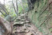 快訊/北市內湖內溝山步道「測量員遭蜂群攻擊」！臉脖手臂螫傷送醫