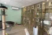 寵物店老闆遭指控造謠！施工團隊怒批「做生意不長久」　今致歉：是我嘴賤