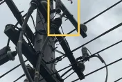 快訊/驚傳恐怖爆炸！桃園龍岡傍晚2942戶停電　台電曝搶修進度