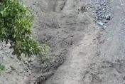 快訊/一波未平一波又起！蘇花午後再度坍方　山崩瞬間黃泥滑動畫面曝光