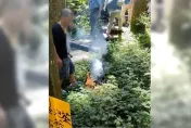 太扯了！阿北溪頭園區燒金紙嚇壞遊客　供稱「拜山神」才燒紙錢