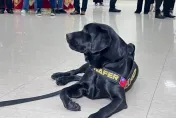 台灣首隻「電子產品偵測犬」立大功！被牠一聞...直接抄掉51億洗錢機房