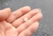 影/南投草屯「大雨夾帶冰雹」！路樹倒塌所幸未傷及人車