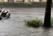 影/北市信義區災情超慘！4條街被淹成河　路人崩潰：怎麼回家