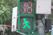 保護行人出新招！交通部：行人綠燈閃光為提醒避免跨入