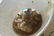 喝雞湯驚見「整條馬陸」！他作嘔崩潰　釣出同路人無奈回：我咬斷了水蛭