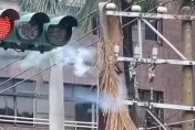 影/「不敵強風」員林高壓電線爆炸！紅綠燈瞬間滅　近4千戶停電摸黑