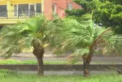凱米颱風風速強勁　風力發電破220萬瓩相當核三發電量