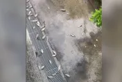 高雄淹水退了！他曝街頭「滿路都是活魚」　網驚：有夠誇張