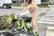 高雄大淹水「最美發言人」不忍了！李明璇：開放高架橋停車、沙包防汛都沒做