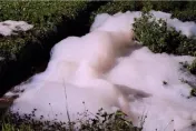 趁大雨偷排廢水！南投「泡泡河」再現　環保局火速追查