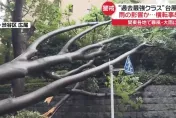 影/「史上最強」安比颱風挾強風暴雨襲日本　東京澀谷樹木遭吹斷