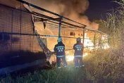 哭爆！溫室工寮大火「百萬植物」全沒了　損失慘重