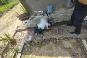 快訊/家人遍尋不著！苗栗96歲翁躺菜園旁台階亡　旁邊有水管