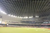 逾263萬人受惠！　文化幣運動幣擴大發放對象