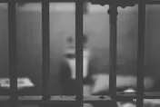 詐騙犯用鞭刑重懲？7成民眾贊成「抽下去」　86%認現行罰則太輕