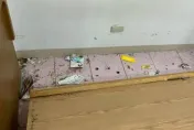 租屋床底下一堆雞骨頭？　內行人一看就知：是老鼠