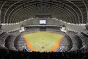 中職/明星賽史上最速！開賣1小時門票完售　2天吸7萬人擠爆大巨蛋