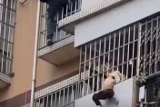 影/嚇！廣西女童卡鐵窗搖搖欲墜　英勇男子爬外牆營救