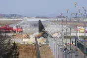 空難頻傳心驚驚！陸民航局：加強鳥擊防範和跑道檢查