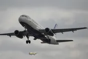 捷藍航空紐約機場降落疑撞無人機　FAA啟動調查