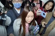 一審遭判7年10個月　民進黨廉政會：陳怡君停權2年6個月