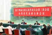 大陸兩會/王滬寧出席台灣代表團審議：堅持九二共識反台獨