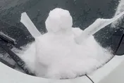 11/22迎小雪！6生肖運勢最旺　財運「擋都擋不住」