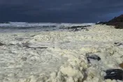 影/「黃色神秘泡沫」大舉入侵澳洲海邊　逾百人眼癢、呼吸困難