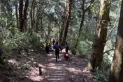 大豪雨炸不停　阿里山森林遊樂區7/28休園
