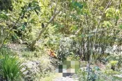 影/高雄甲仙禪寺法師猝逝倒臥園區　初步排除他殺