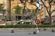 新店砂石車誤升擋沙網　紅綠燈、路燈桿遭扯斷道路封閉