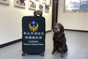 曾支援太魯閣出軌！新北搜救犬Amei　待命緬甸強震萌樣曝