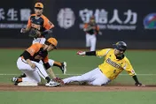 中職36年大巨蛋開打！4萬人滿場刷新開幕戰紀錄