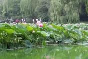 命理師提醒清明禁忌！3種水果千萬別拜　恐惹來厄運