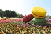 春季「花粉熱」來襲！醫曝：就醫過敏兒增　嚴重恐引發氣喘