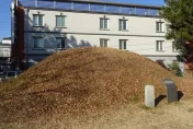 靈異錯別字/澎湖營區集體中邪　因他在「將軍墳頭」拉屎
