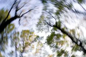 妙齡女突頭暈到像坐雲霄飛車！醫揪「耳石脫落」找上門