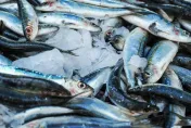他「天天吃魚」害重金屬超標！醫示警：嚴重有罹癌風險
